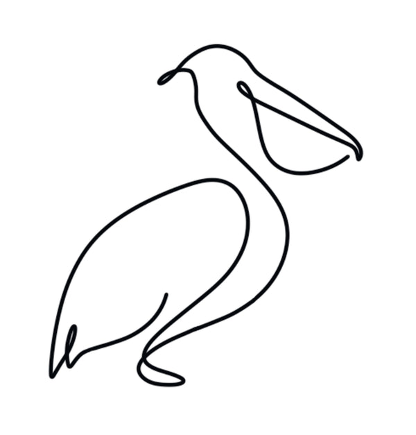 The White Pelican 